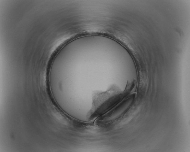X0000113330391200910051150