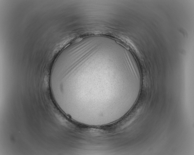 X0000113330393200910051150