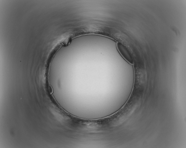 X0000113330395200910051150