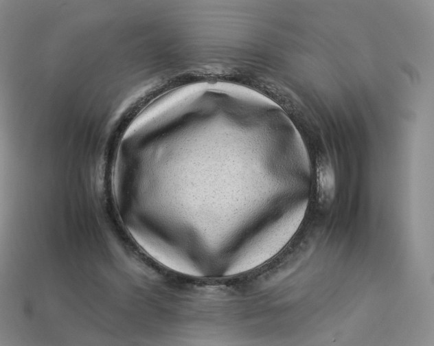 X0000113330396200910051150