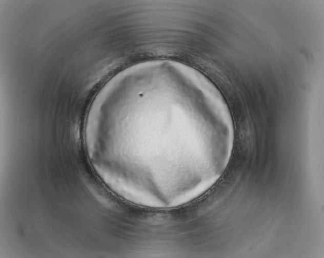 X0000113330398200910051150