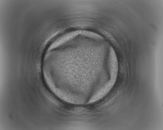 X0000113330399200910051150