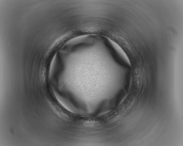 X0000113330400200910051150