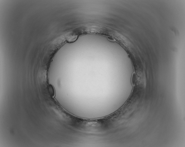 X0000113330401200910051150
