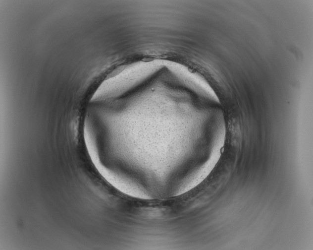 X0000113330404200910051150