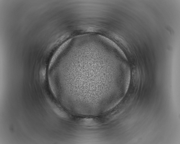 X0000113330406200910051150
