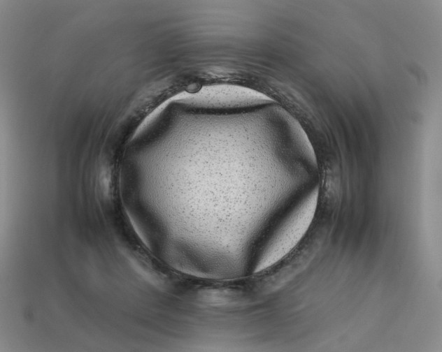 X0000113330408200910051150