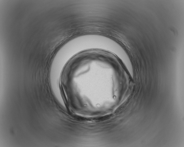 X0000113330411200910051150