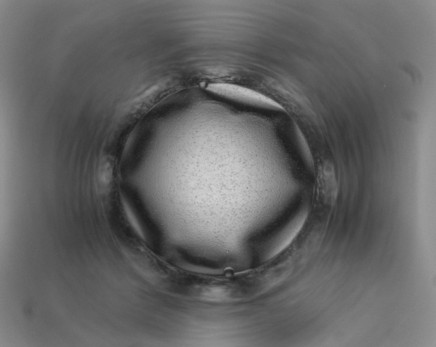X0000113330412200910051150