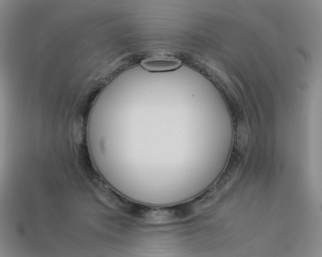 X0000113330413200910051150