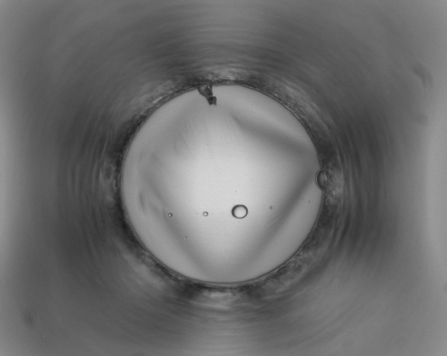 X0000113330414200910051150