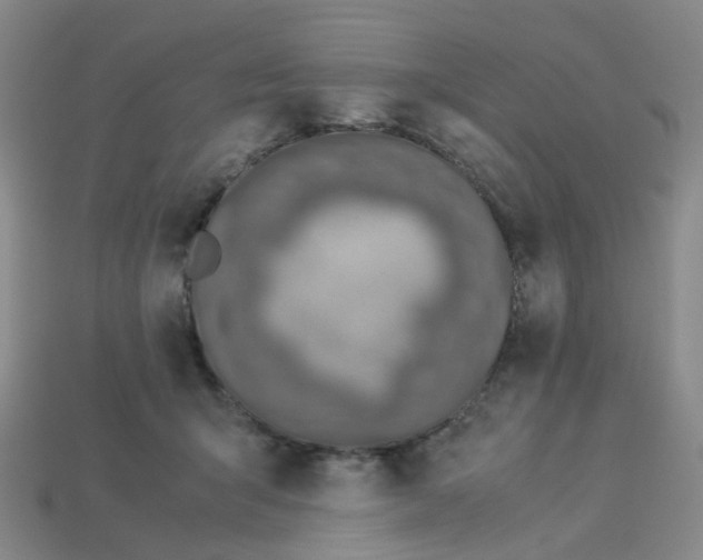 X0000113330415200910051150