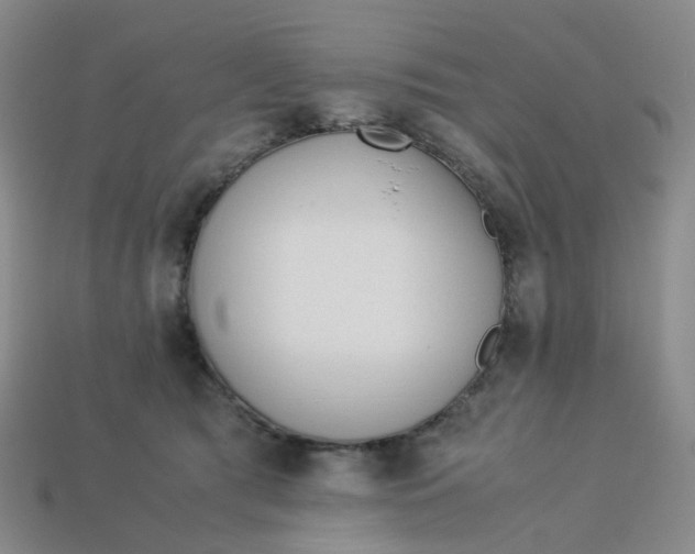 X0000113330417200910051150