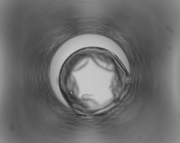 X0000113330419200910051150
