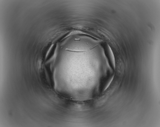 X0000113330420200910051150