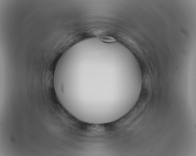 X0000113330421200910051150