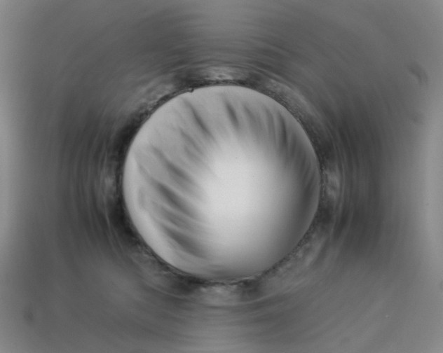 X0000113330422200910051150