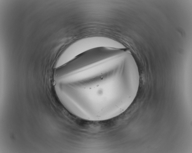 X0000113330423200910051150