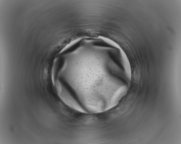 X0000113330424200910051150