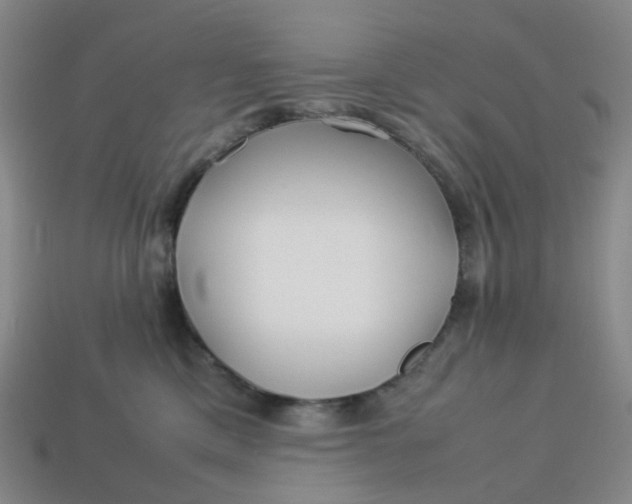 X0000113330425200910051150
