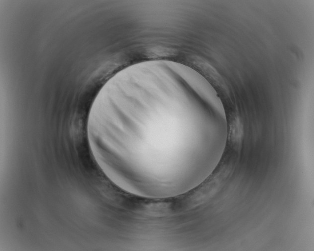 X0000113330426200910051150