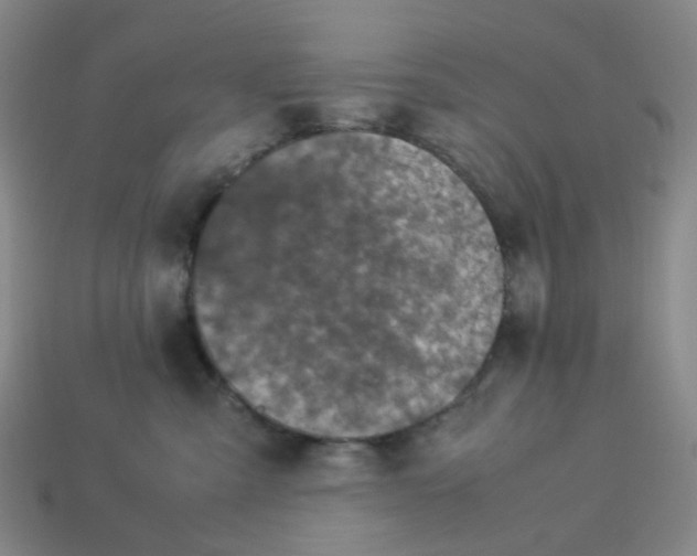 X0000113330427200910051150