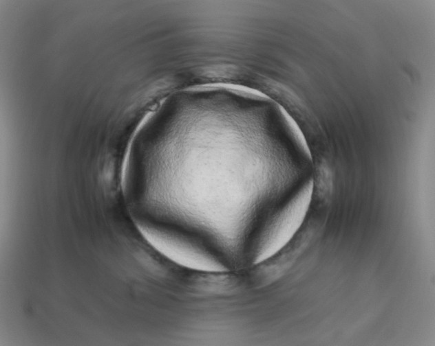 X0000113330428200910051150