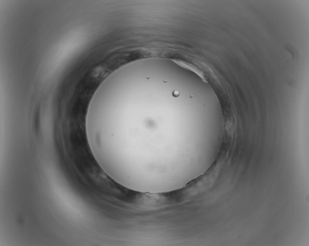 X0000113330429200910051150