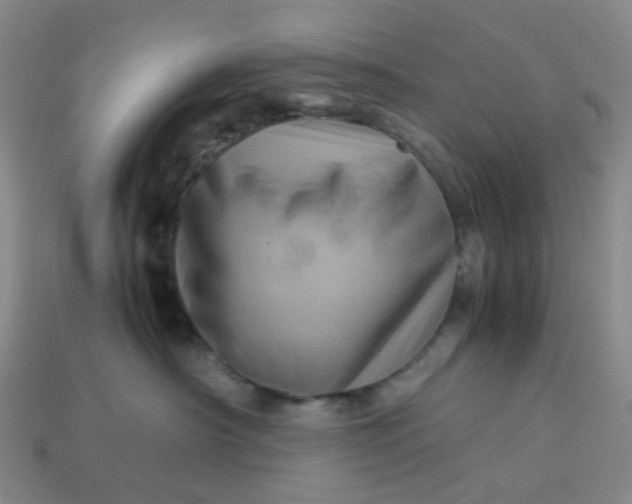 X0000113330430200910051150