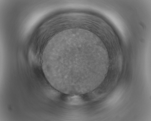 X0000113330431200910051150