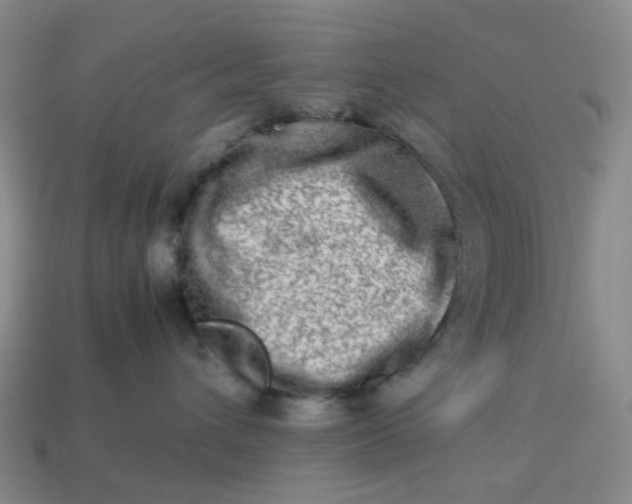 X0000113330432200910051150