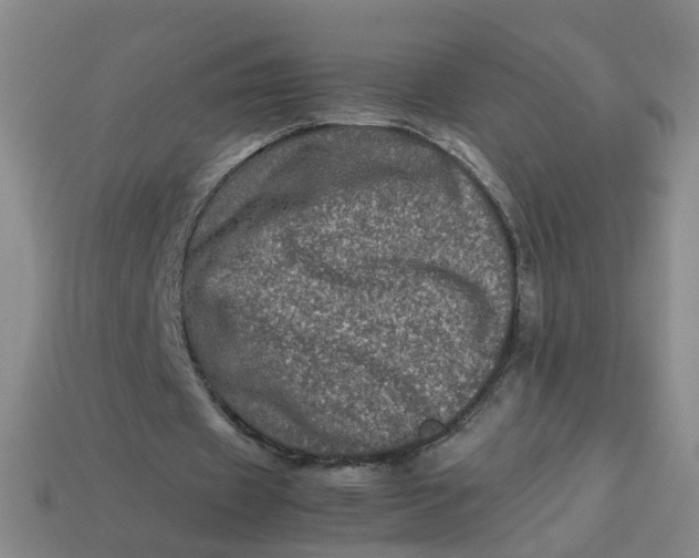X0000113330433200910051149