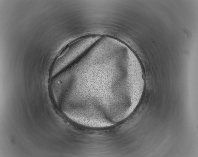 X0000113330434200910051149