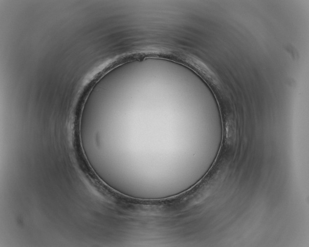 X0000113330436200910051149