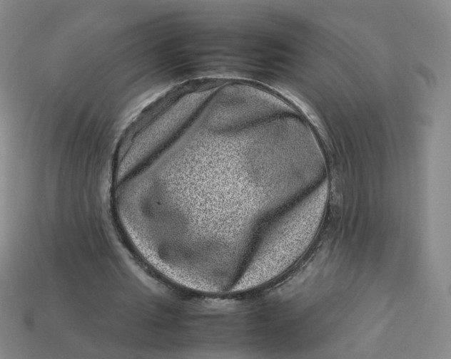 X0000113330437200910051149