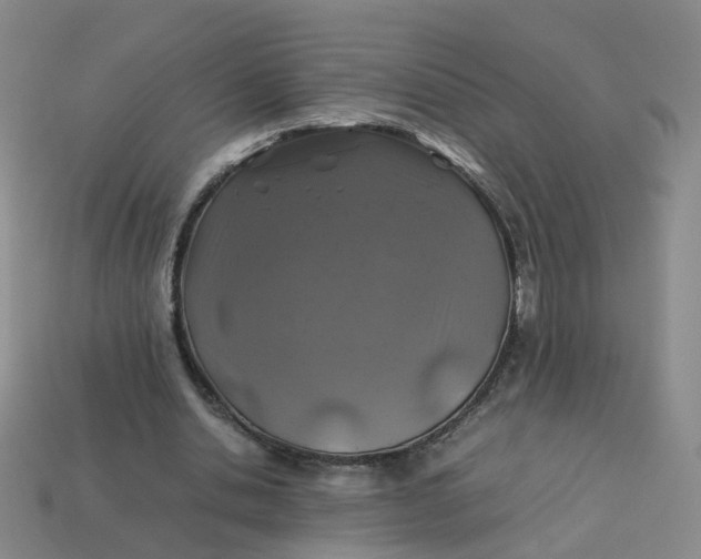 X0000113330438200910051149