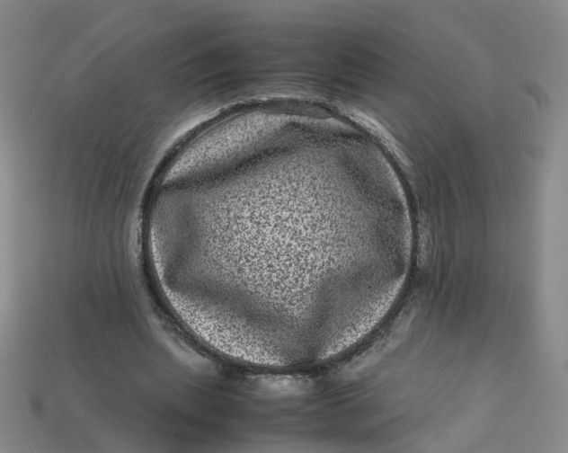 X0000113330439200910051149