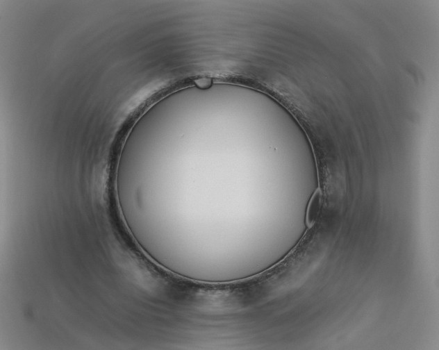 X0000113330440200910051149