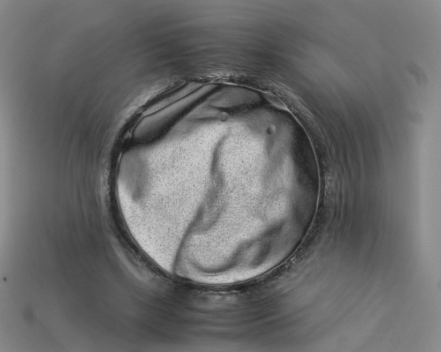 X0000113330443200910051149