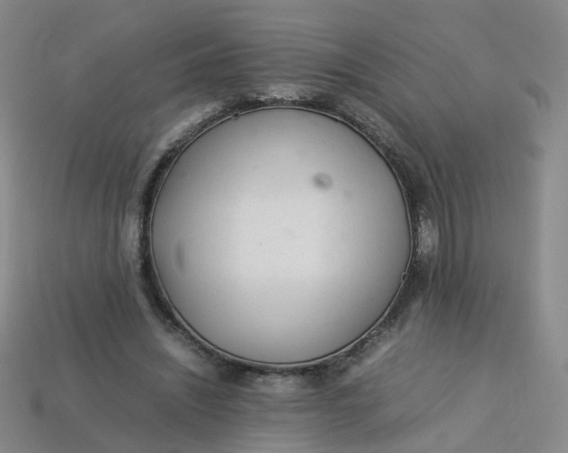X0000113330444200910051149