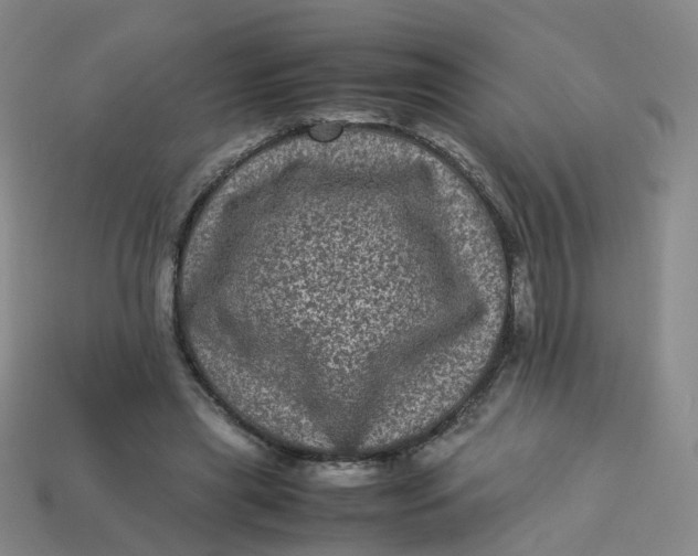 X0000113330445200910051149
