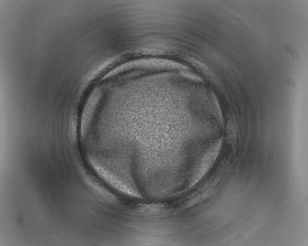 X0000113330446200910051149