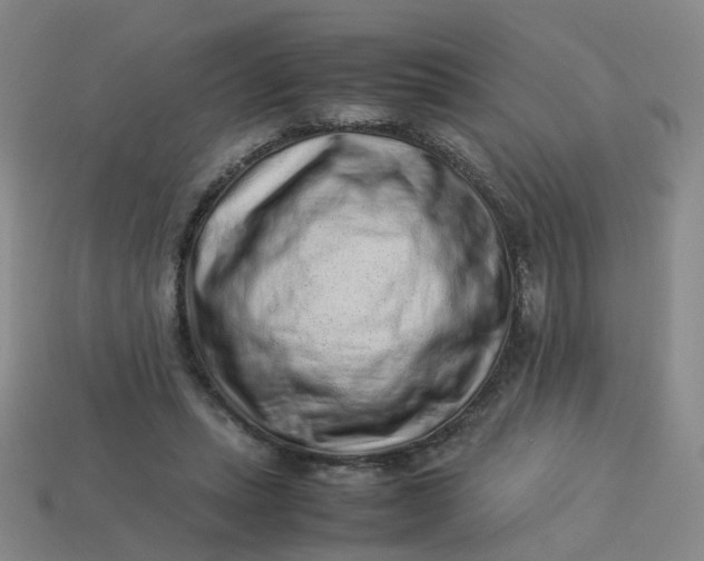 X0000113330447200910051149