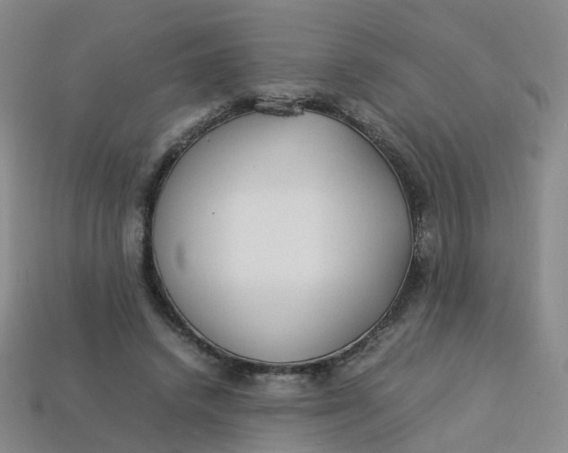 X0000113330448200910051149