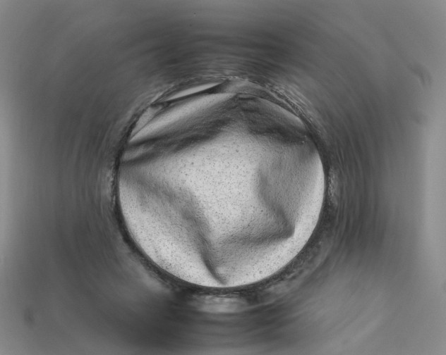 X0000113330449200910051149