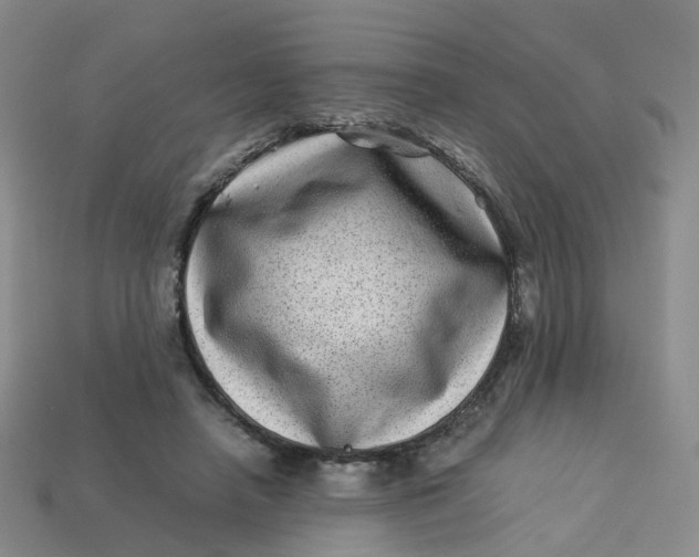 X0000113330450200910051149