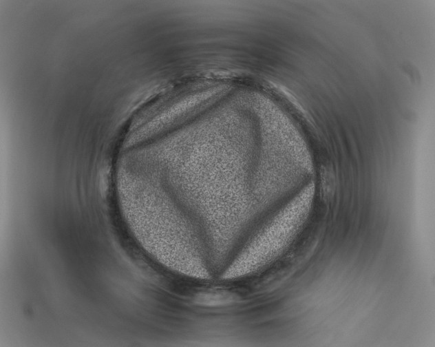 X0000113330451200910051149