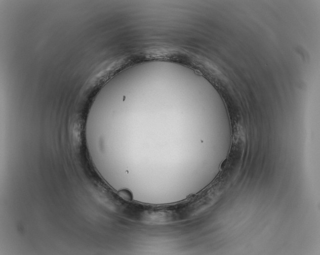 X0000113330452200910051149