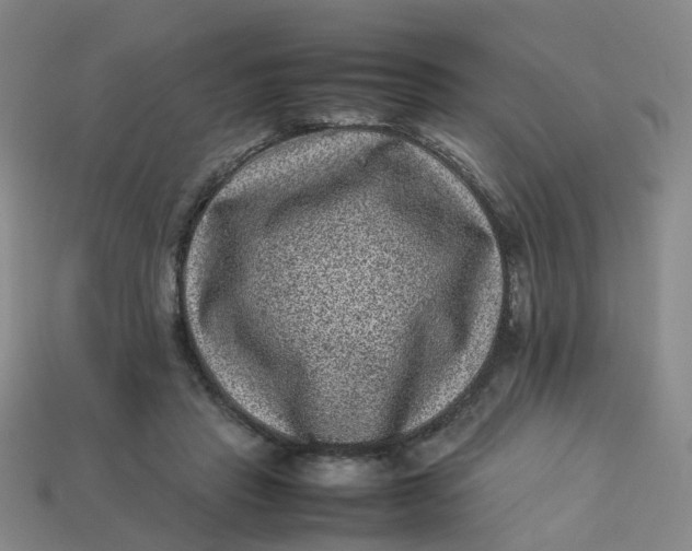 X0000113330453200910051149