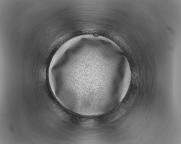X0000113330454200910051149